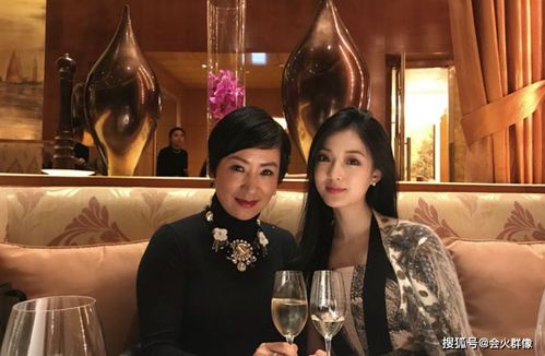 热播短剧我家夫君是异性王全集完整版在线观看 热播短剧我家夫君是异性王全集完整版在线观看--第1张