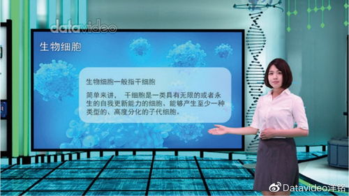 热播短剧腾龙全集完整版在线观看 腾龙全集完整版热播短剧，揭秘精彩剧情，领略影视魅力--第1张