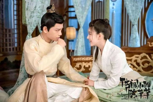 热播短剧我征服了女尊世界全集完整版在线观看 ，热播短剧我征服了女尊世界全集完整版在线观看--第1张