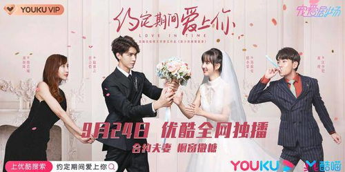 热播短剧苏小姐你嫁错人了残疾陆总的第四任妻子全集完整版在线观看 热播短剧苏小姐你嫁错人了！残疾陆总第四任妻子全集完整版在线观看--第1张