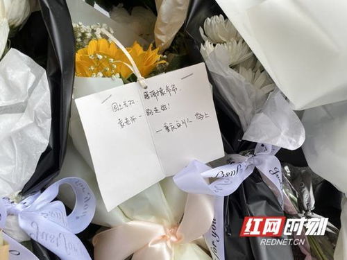 热播短剧手握八百纵横四海全集完整版在线观看 热播短剧手握八百纵横四海全集完整版在线观看--第1张