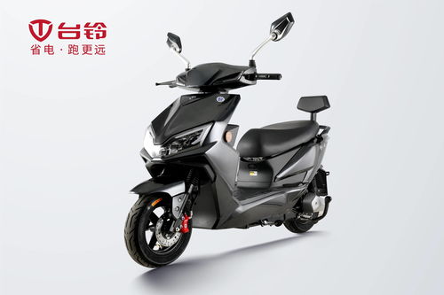 中国名牌电动车排行榜_中国十大品牌电动车排名榜--第1张