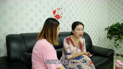 热播短剧一切从退婚开始全集完整版在线观看 热播短剧一切从退婚开始全集完整版在线观看--第1张