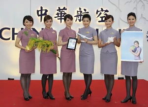 热播短剧我的空姐老婆飞翔人生空中初探云诱全集完整版在线观看 热播短剧我的空姐老婆飞翔人生空中初探云诱全集完整版在线观看--第1张