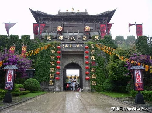 热播短剧离婚后美女总裁追着我领证全集完整版在线观看 ，离婚后美女总裁追着我领证全集完整版在线观看--第1张
