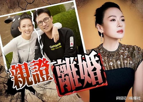 热播短剧离婚后我的首富身份曝光了全集完整版在线观看 热播短剧离婚后我的首富身份曝光了全集完整版在线观看--第1张