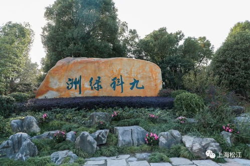 热播短剧一念情深爱有韵全集完整版在线观看 一念情深爱有韵全集完整版在线观看--第1张