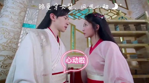 热播短剧锦鲤老公命中注定嫁给你全集完整版在线观看 热播短剧锦鲤老公命中注定嫁给你全集完整版在线观看--第1张