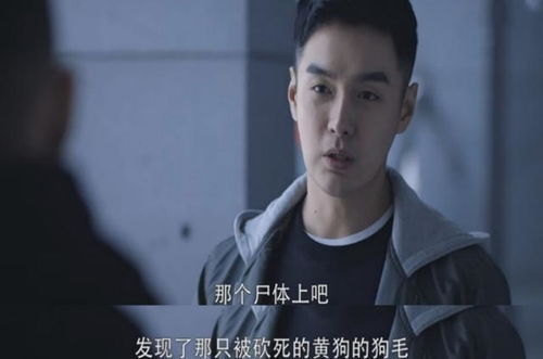 热播短剧重生后她转身投入死对头怀抱全集完整版在线观看 热播短剧重生后她转身投入死对头怀抱全集完整版在线观看--第1张