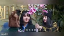 热播短剧别惹叶小姐她法术通天全集完整版在线观看 热播短剧别惹叶小姐她法术通天全集完整版在线观看--第1张