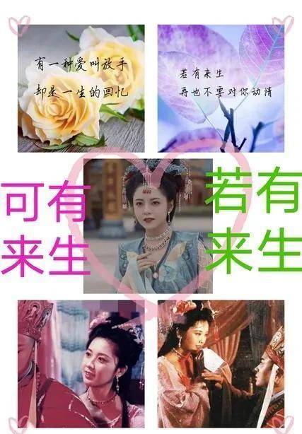 热播短剧叶总来生不愿再相见全集完整版在线观看 热播短剧叶总，来生不愿再相见全集完整版在线观看--第1张
