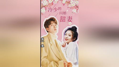 热播短剧新版傅少的闪婚甜妻全集完整版在线观看 热播短剧新版傅少的闪婚甜妻全集完整版在线观看--第1张