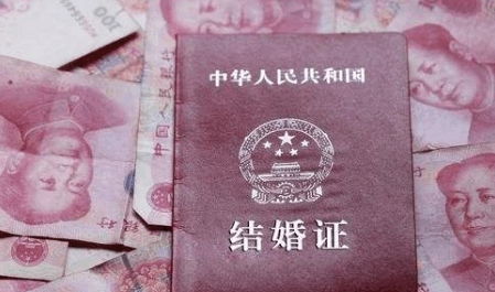 热播短剧彩礼谈崩后我转身和千亿首富领证全集完整版在线观看 热播短剧彩礼谈崩后我转身和千亿首富领证全集完整版在线观看--第1张