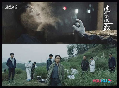 热播短剧潜龙出山之我为王全集完整版在线观看 潜龙出山之我为王热播短剧潜龙出山之我为王全集完整版在线观看--第1张