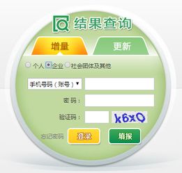 小车摇号查询官网入口_小车摇号结果查询网站--第1张