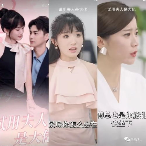 热播短剧谁懂啊霍总是个恋爱脑全集完整版在线观看 热播短剧谁懂啊霍总是个恋爱脑全集完整版在线观看--第1张