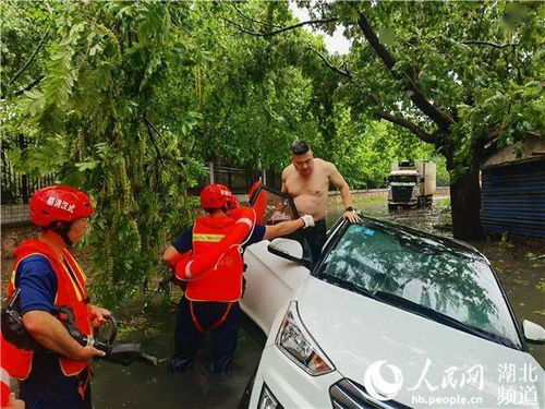热播短剧新我被困在同一天一万年全集完整版在线观看 热播短剧新我困在同一天一万年全集完整版在线观看--第1张