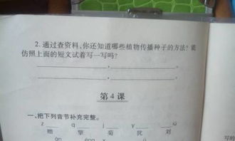 我还知道其他植物传播种子的方法 我还知道其他植物传播种子的方法--第1张