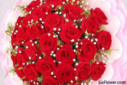 11朵玫瑰花是什么含义 11朵玫瑰花含义的深度解读--第1张
