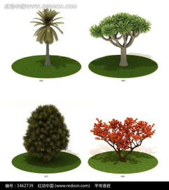 园林绿化植物品种大全 园林绿化植物品种大全--第1张