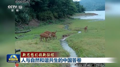 中国植物网 中国植物网，连接人与自然的桥梁--第1张