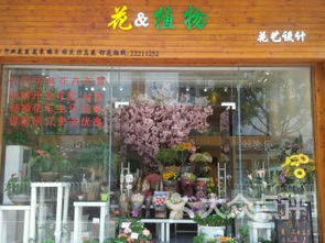 顺德大良鲜花店 顺德大良鲜花店——鲜花的美丽与温馨的源泉--第1张