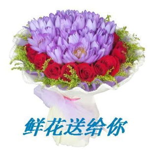 网上哪里订鲜花 网上哪里订鲜花--第1张
