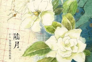 十二花神对应哪十二种花 十二花神与十二种花之谜--第1张