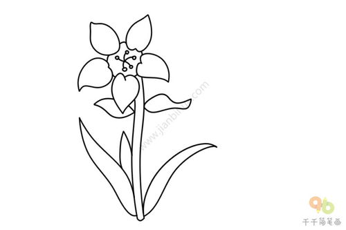 水仙花简笔画 水仙花简笔画--第1张