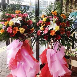 西安鲜花店转让 西安鲜花店转让--第1张