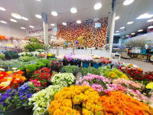 北京花卉批发市场在哪里 北京花卉批发市场在哪里--第1张
