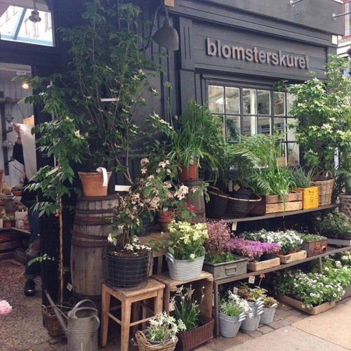 花店装修设计 花店装修设计--第1张