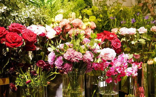 长春花店哪家好 长春花店哪家好？教你如何选择优质花卉店铺--第1张