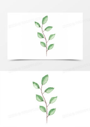 各种花卉图片大全 各种花卉图片大全--第1张