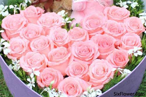 18朵粉玫瑰花语是什么 18朵粉玫瑰的花语与寓意--第1张