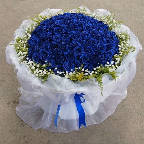 蓝色妖姬花束照片 蓝色妖姬花束照片，浪漫与优雅的完美结合--第1张