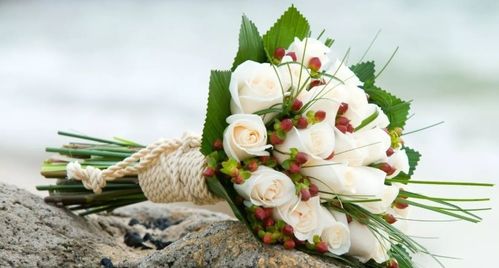白色玫瑰花的寓意和花语 白色玫瑰花的寓意和花语--第1张