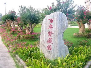 鄢陵花木 鄢陵花木，千年古韵与现代魅力的完美融合--第1张