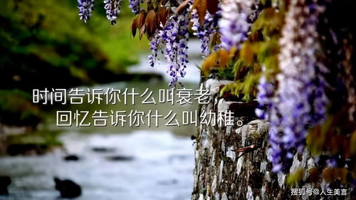 高情商生日句子 高情商生日句子--第1张
