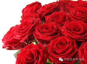 情人节玫瑰花怎么处理不浪费 情人节玫瑰花怎么处理不浪费--第1张