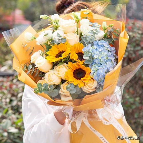 父亲节送什么花合适? 父亲节送什么花合适？--第1张