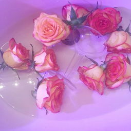 玫瑰花唯美图片意境 玫瑰花唯美图片意境--第1张