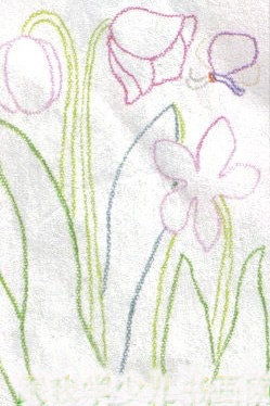 鸢尾花图片简笔画 鸢尾花图片简笔画教程--第1张