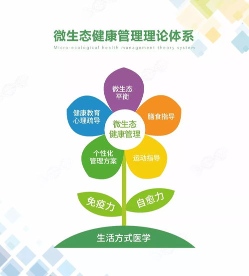 种子的传播方式 种子传播方式的多样性与生态平衡--第1张