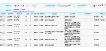 查询车辆配置的app_输入车架号查车辆信息的软件--第1张