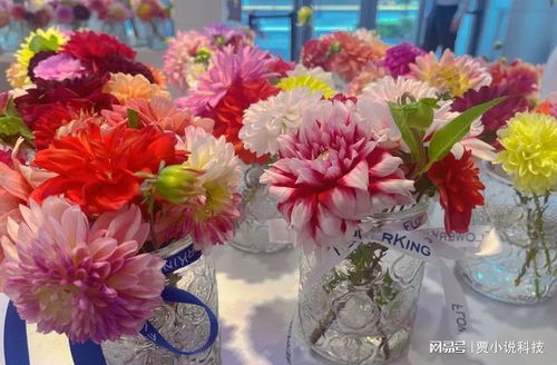 鸡西鲜花店订花 鸡西鲜花店订花，享受鲜花带来的美好生活--第1张