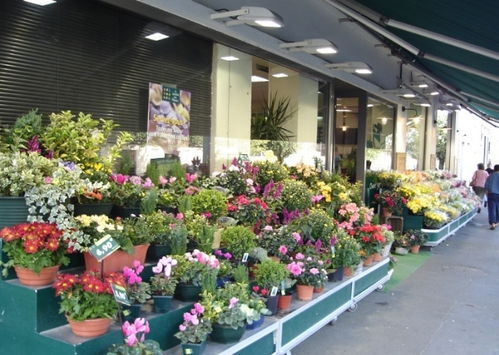 花店装修效果图30平米 花店装修效果图30平米--第1张