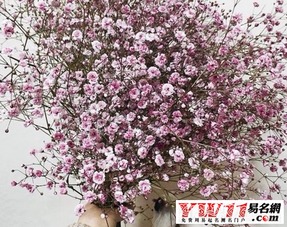 花店名字大全好听花店2021 花店名字大全好听花店2021--第1张