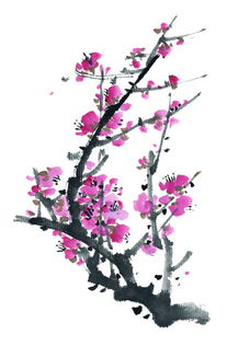 一枝漂亮梅花图片 一枝漂亮梅花图片--第1张