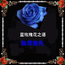 送蓝色玫瑰代表什么意思 送蓝色玫瑰代表什么意思--第1张